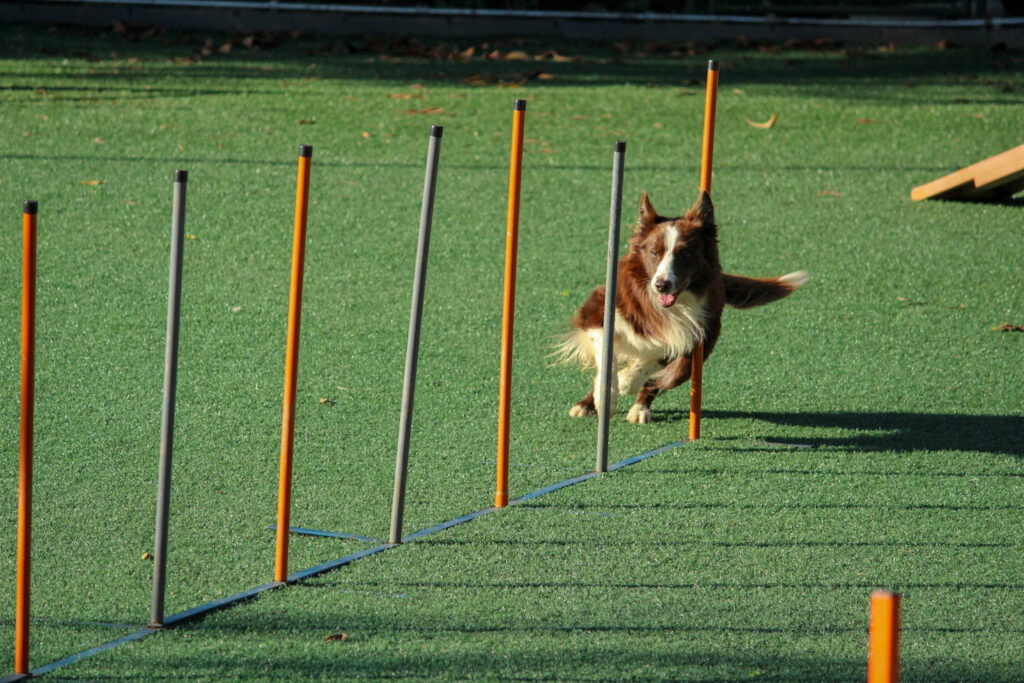 Featured Image 1 1024x683